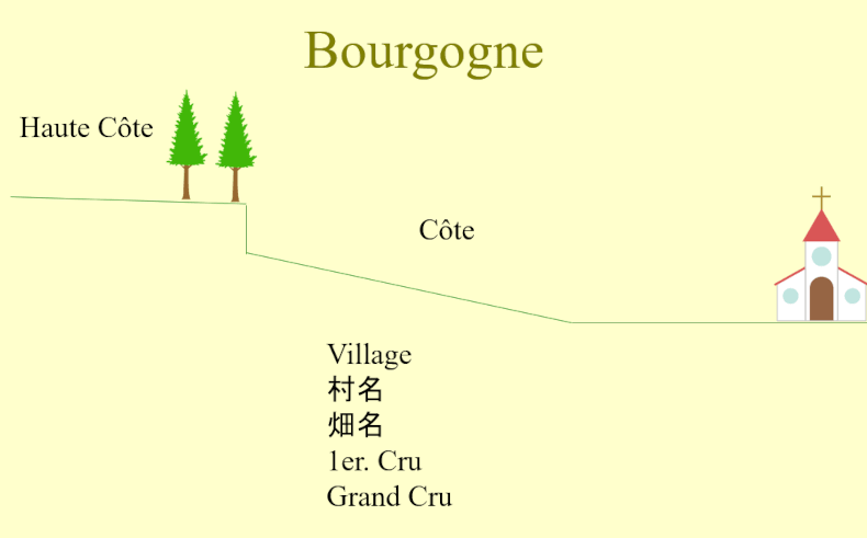 ブルゴーニュ産地名の地形的説明図