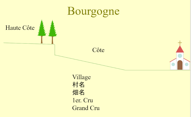ブルゴーニュの地形と畑の格付