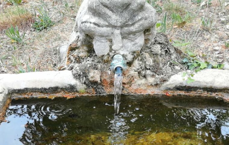 ローマ時代から湧き出るド ウェル家の泉